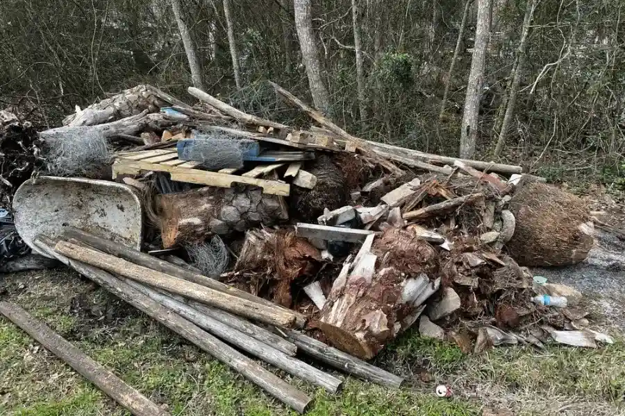 Junk Removal Service